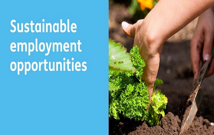 Identify real skills needed for sustainable employment Professor Atul Sood